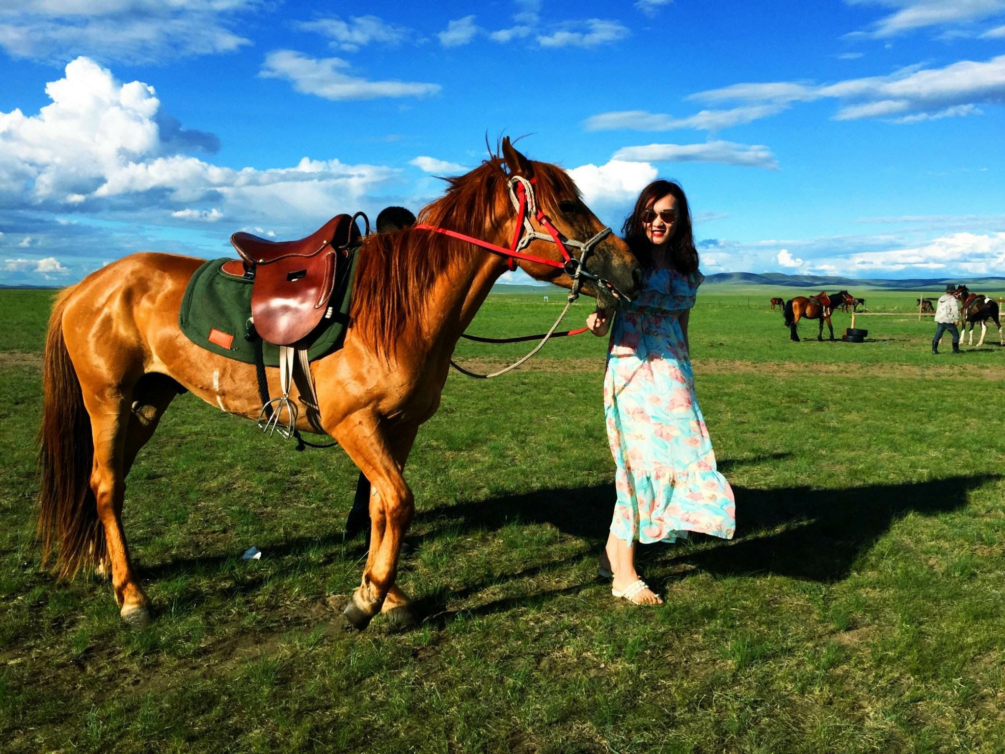 2025【探究民族文化·感受草原风情】5日 研学营