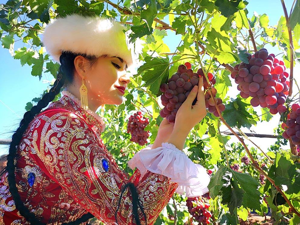 2025【寻西域民风·赏西域风情】10日研学·新疆